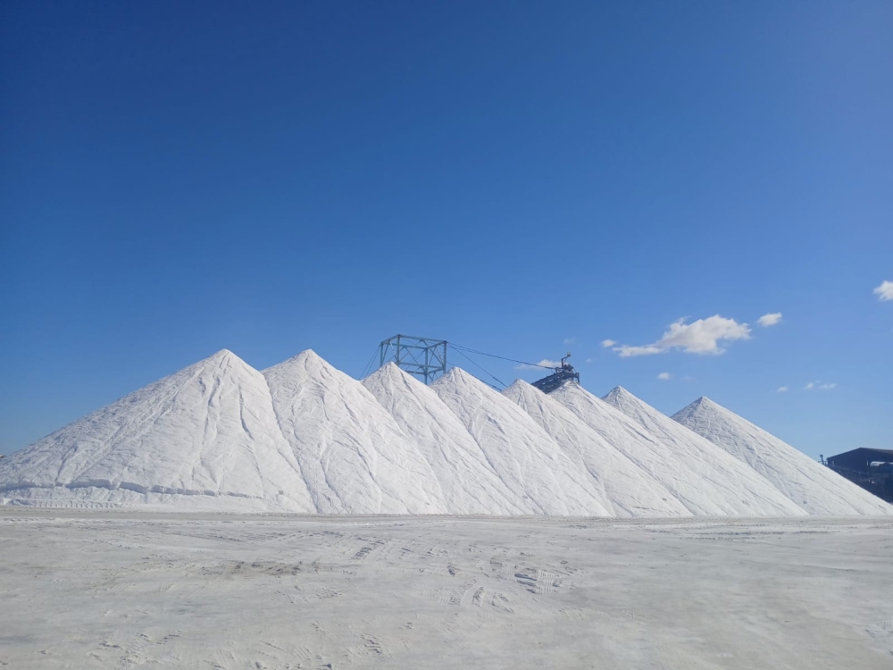 النصر للملاحات تصدر أكبر شحنة ملح في تاريخها من ميناء العريش